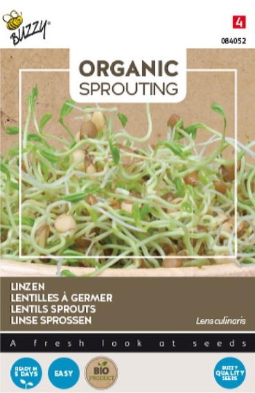 Lentil Sprouts BIO 30 grams